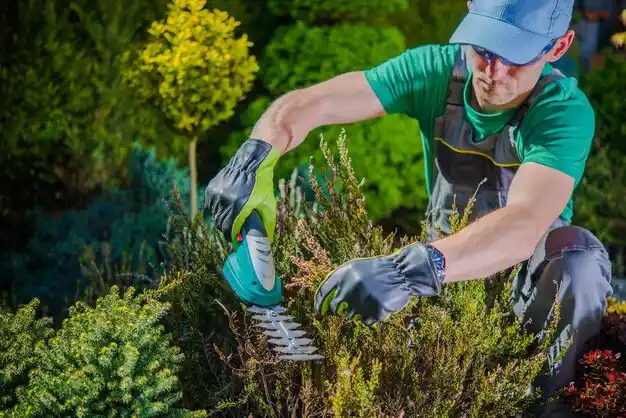 landscaping services Noxapater